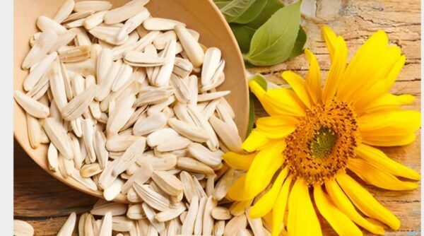 Sunflower Seeds - Image 2