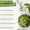 Pumpkin Seeds - Image 3